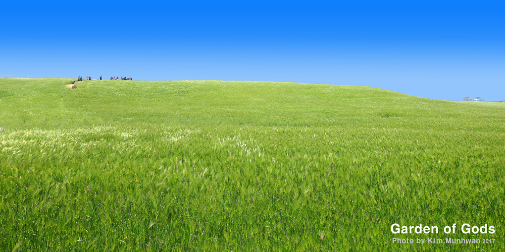 생명의 연자 생명의 연자