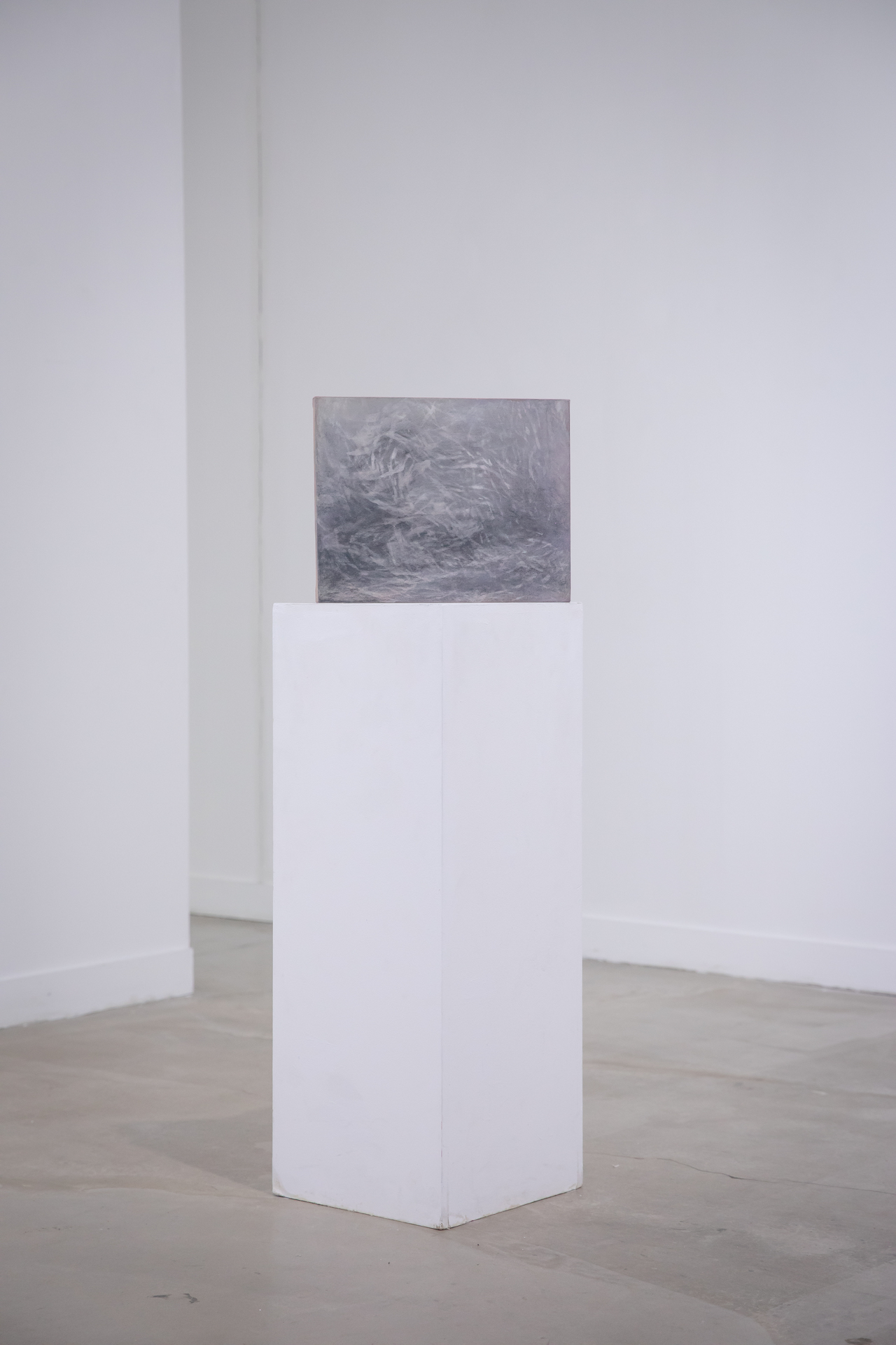 black forest_ink and acrylic on cotton_27.3x34.8cm_2020 black forest_ink and acrylic on cotton_27.3x34.8cm_2020