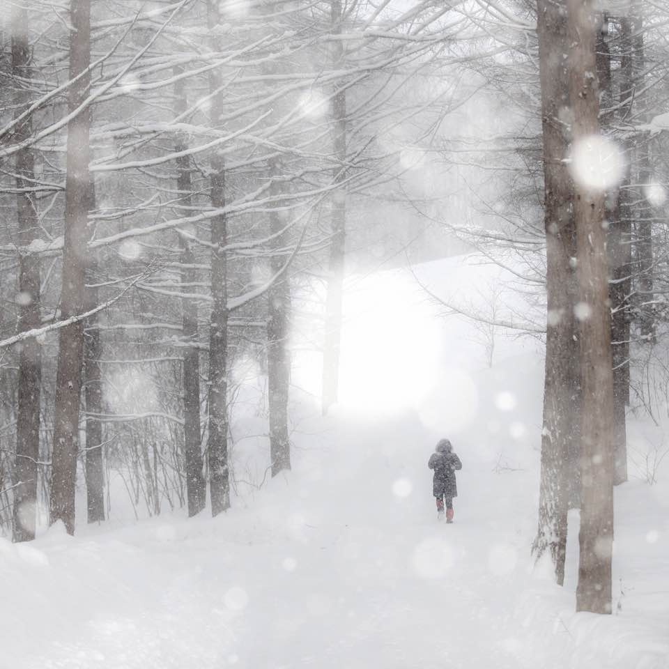 홋카이도의 겨울 홋카이도의 겨울