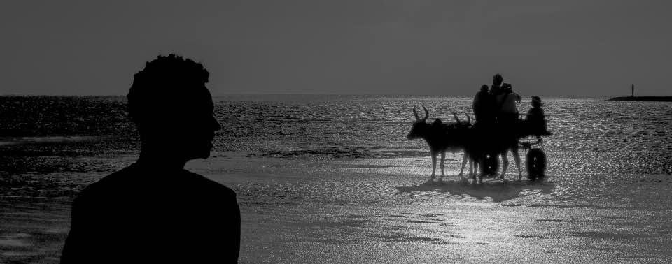 마다가스카르(툴리아르해변) 마다가스카르(툴리아르해변)