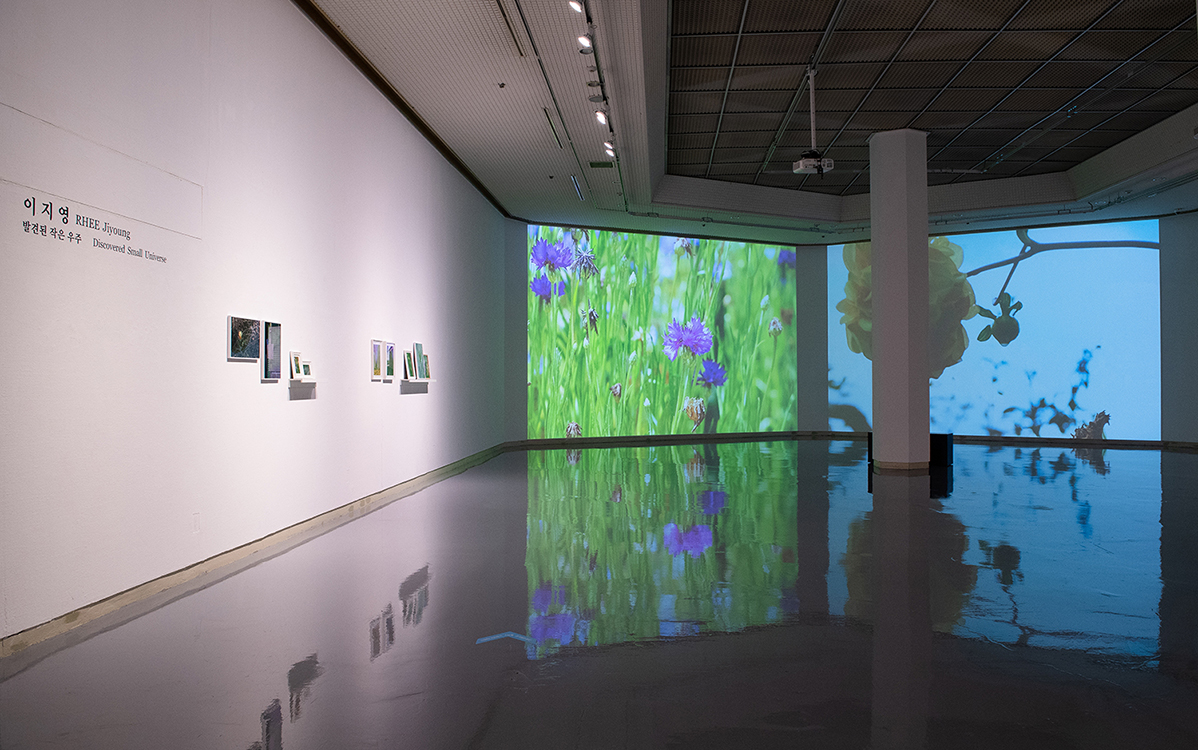 2021 올해의 중견작가 초대전 대구문화예술회관 전시뷰 2021 올해의 중견작가 초대전 대구문화예술회관 전시뷰