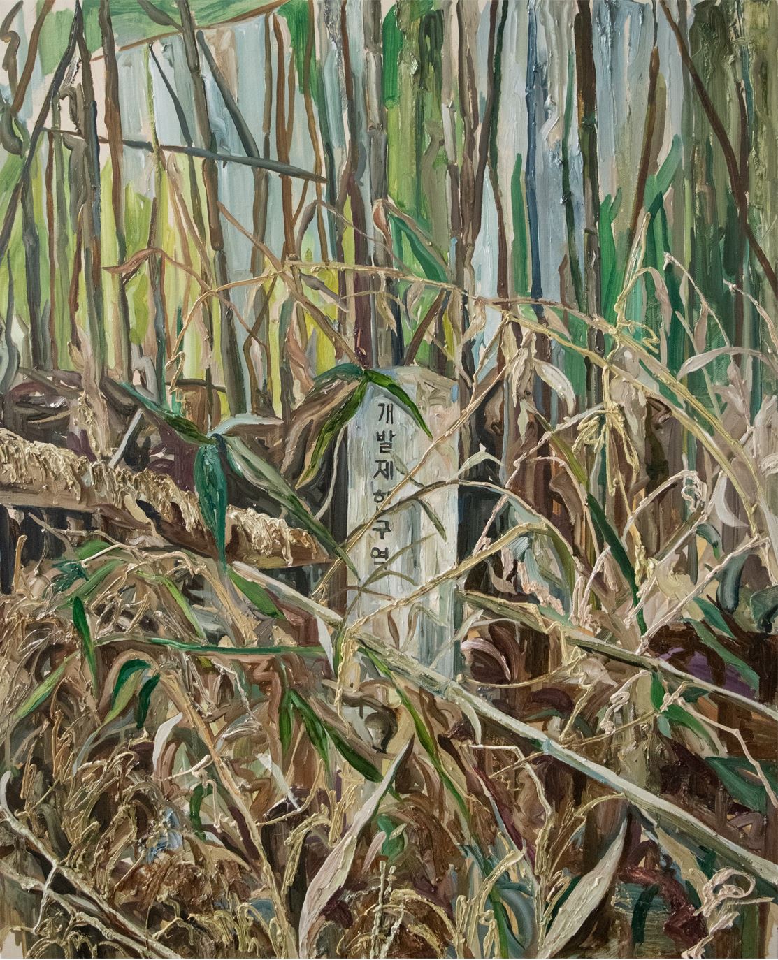 개발제한구역, 91x72.7cm, oil on canvas, 2019