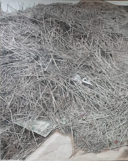 강변일우-태풍으로 비바람을 몰고와 금호강을 삼켜 흔적을 남기고 떠나버렸다.꺽여지고 부셔진 갈대들과 떠밀려온 부유물들은 모든 것을 빼앗겨 버리고 쓰레기로 보이는 형태로 금호강 기슭에 모였다. 강변일우-태풍으로 비바람을 몰고와 금호강을 삼켜 흔적을 남기고 떠나버렸다.꺽여지고 부셔진 갈대들과 떠밀려온 부유물들은 모든 것을 빼앗겨 버리고 쓰레기로 보이는 형태로 금호강 기슭에 모였다.