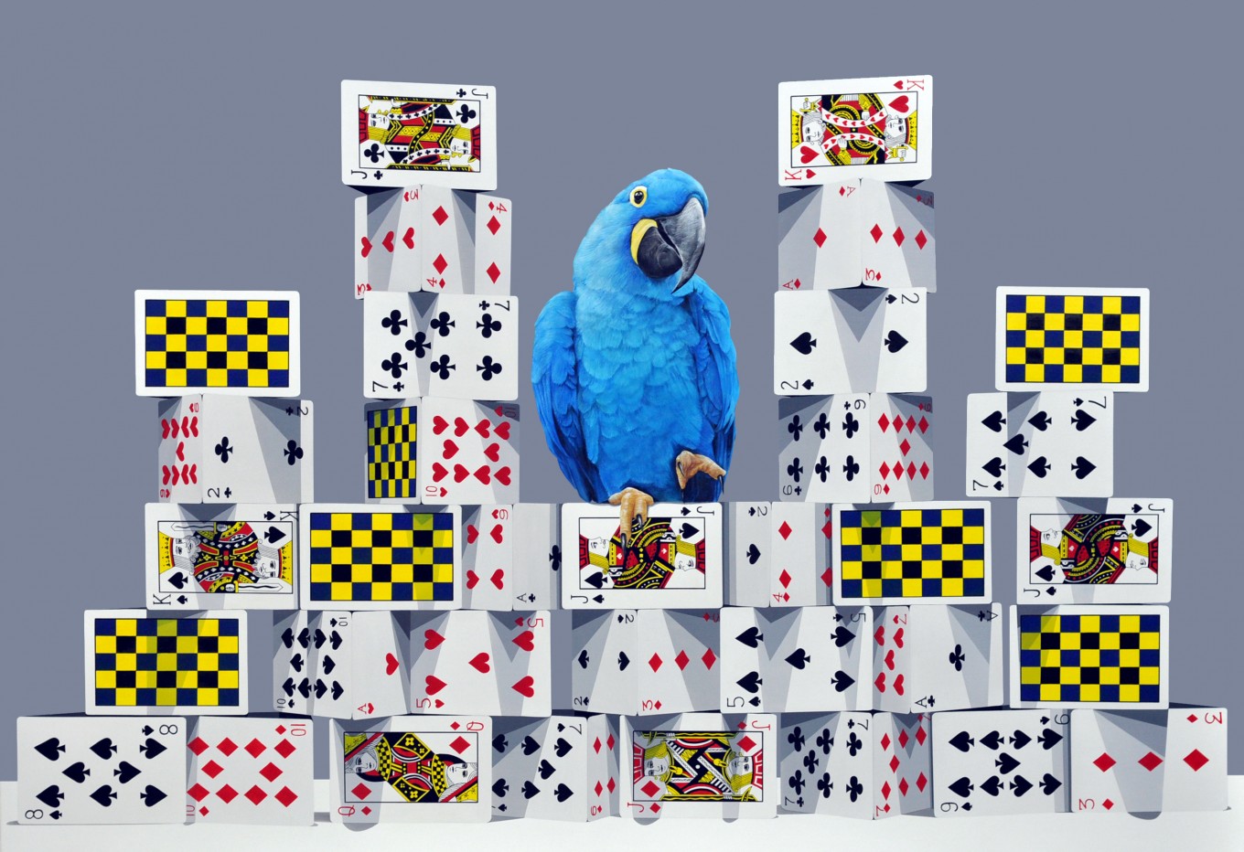 The tower of card-Hyacinth Macaw 162.2x 112.1cm oil on canvas 2016