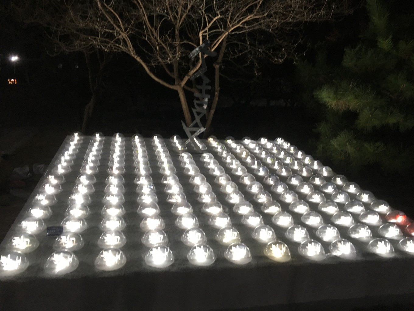 희망정원, 수성빛축제설치작품,2019