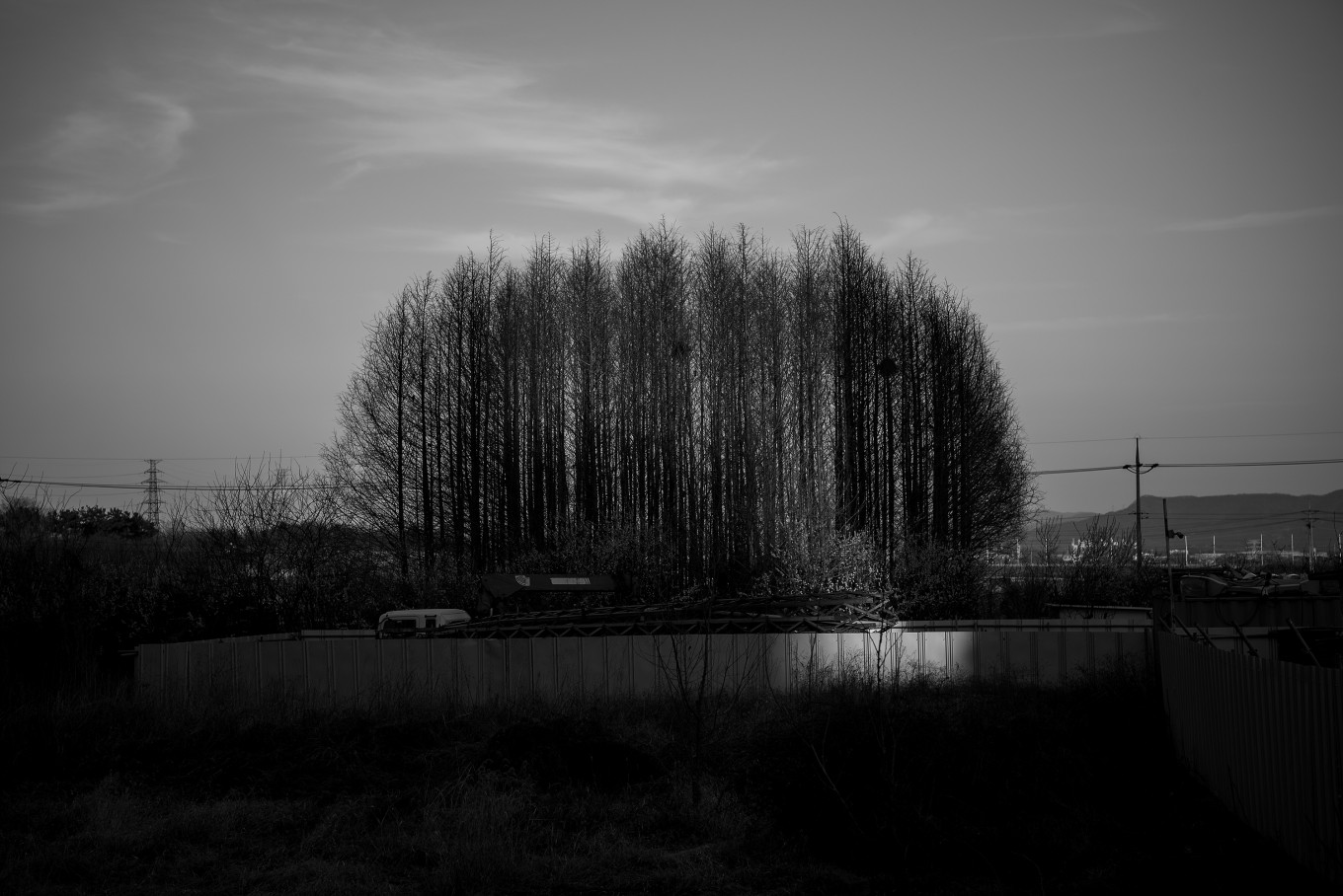 43.2k, 110x76cm, archival pigment print on matt paper, 2019