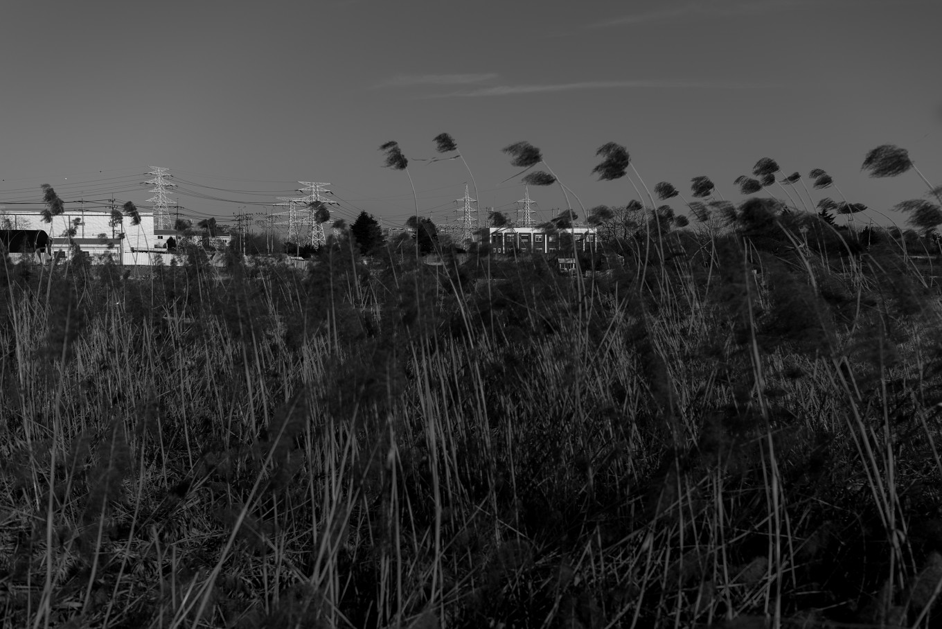 43.2k, 110x76cm, archival pigment print on matt paper, 2019