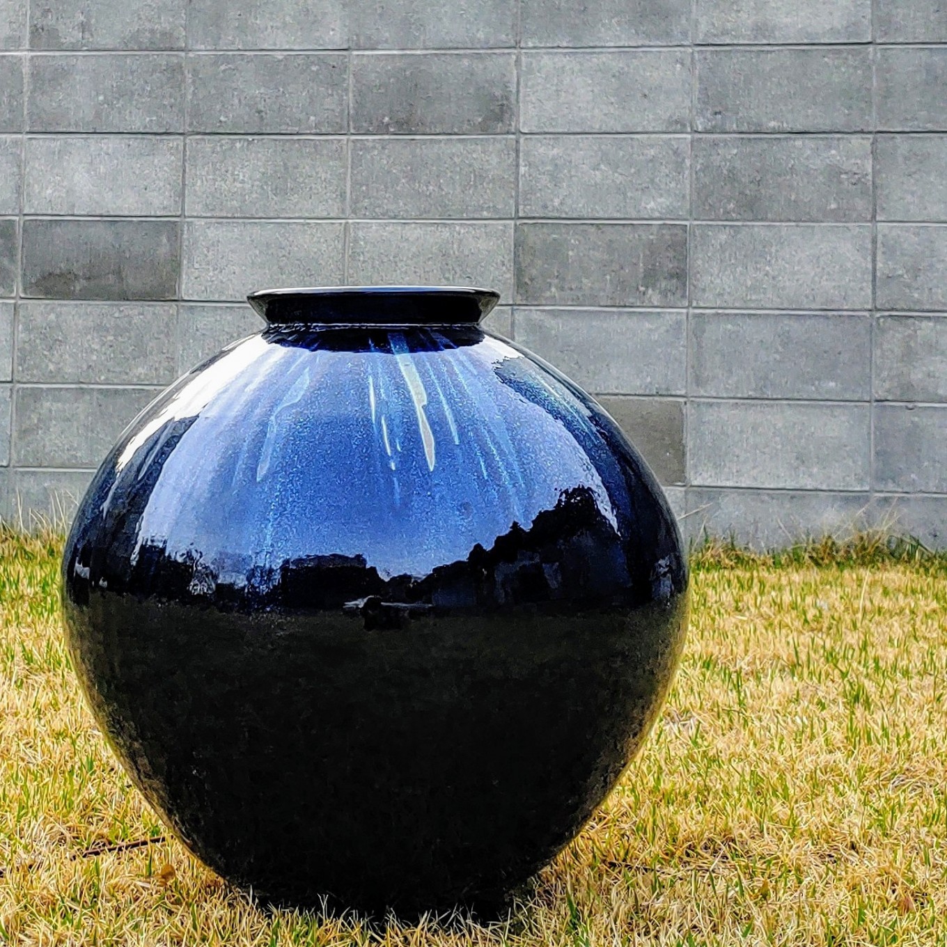 송하요 천목 대호