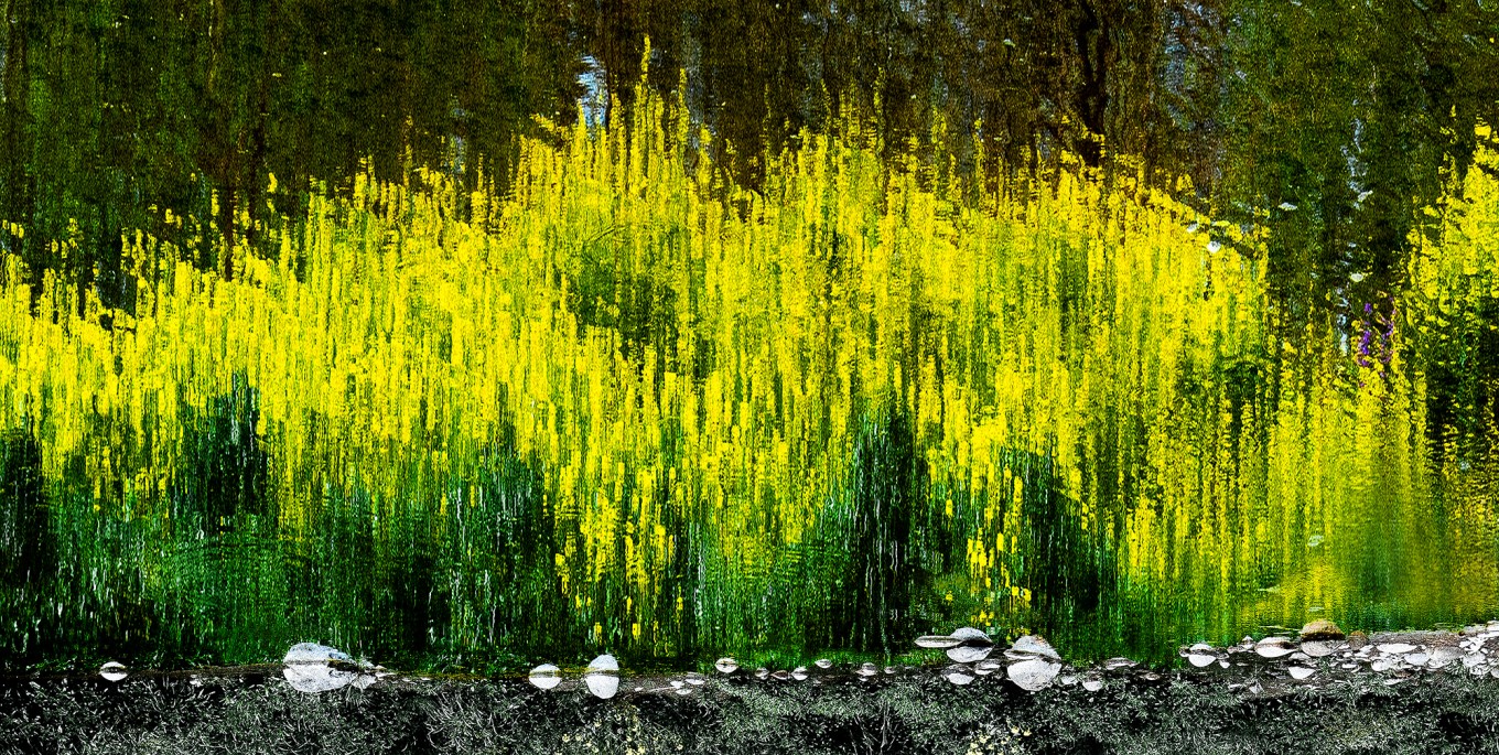 Border-Line ; 거리 / 인생의 빛. 빛나는 노랑까지 남은 푸른 거리.