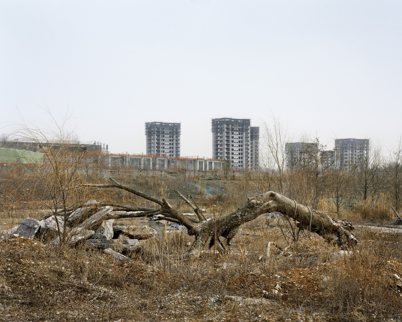 CD022-06, 100x125cm, Pigment Ink on Lust Glasier, 2015